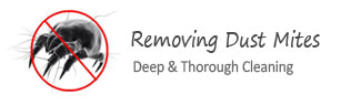 dust mites removal